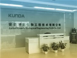 一呼百應(yīng) 技術(shù)賦能，智聯(lián)未來——上海技術(shù)咨詢頻道解析